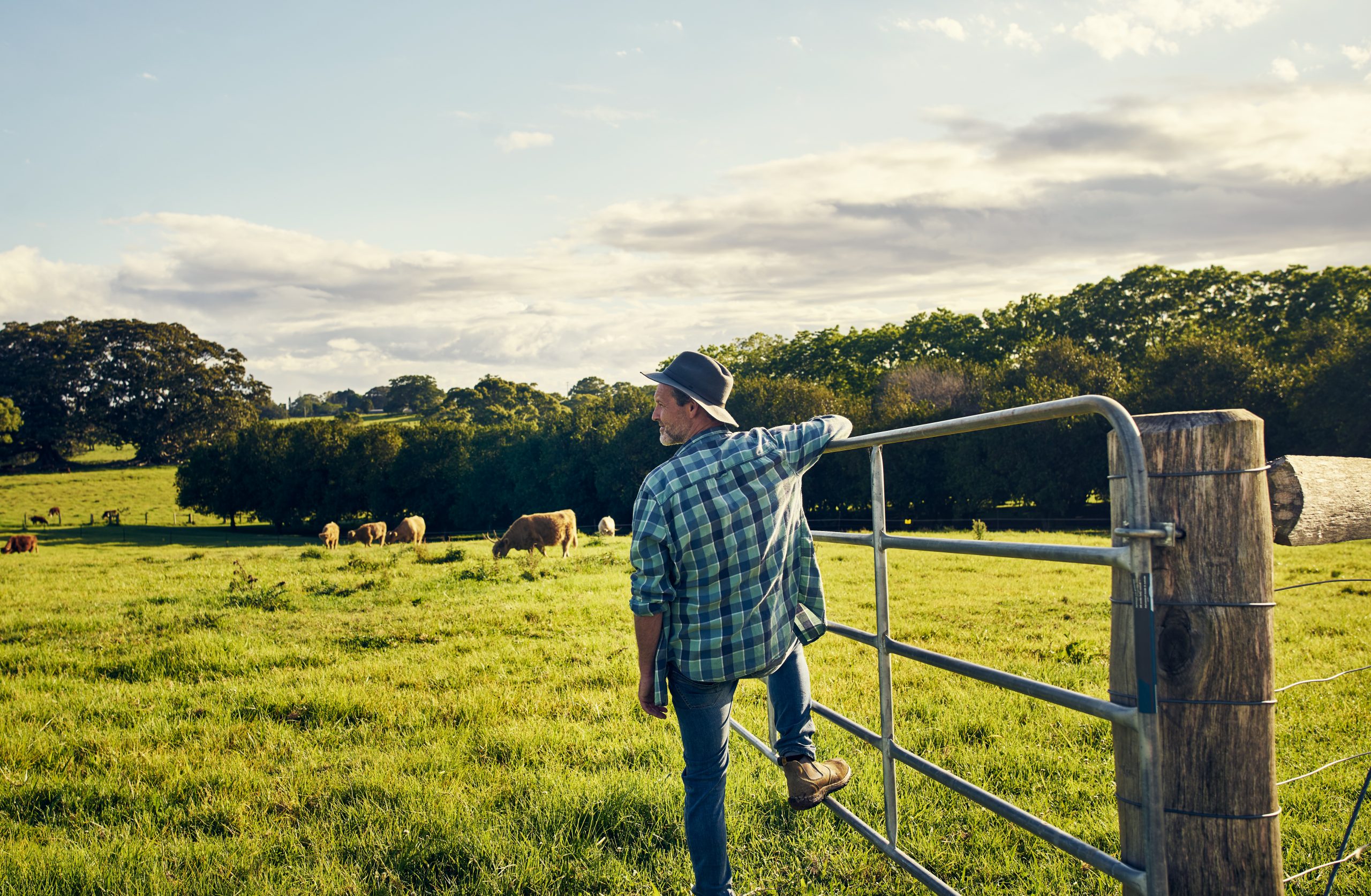 Living Rural Farm and livestock supplies